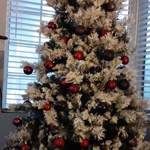 Meet your Posher, Denny